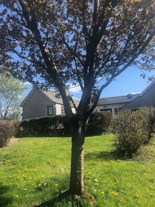 West Lodge 3 Bedrooms, Near Golf Course And River Turriff Εξωτερικό φωτογραφία